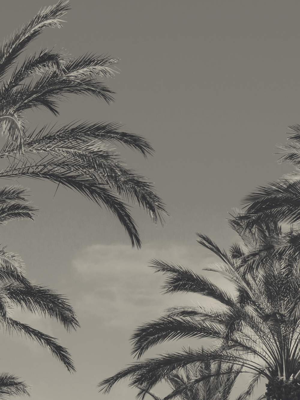 HOMEAWAY_HOVER_NEW_Small